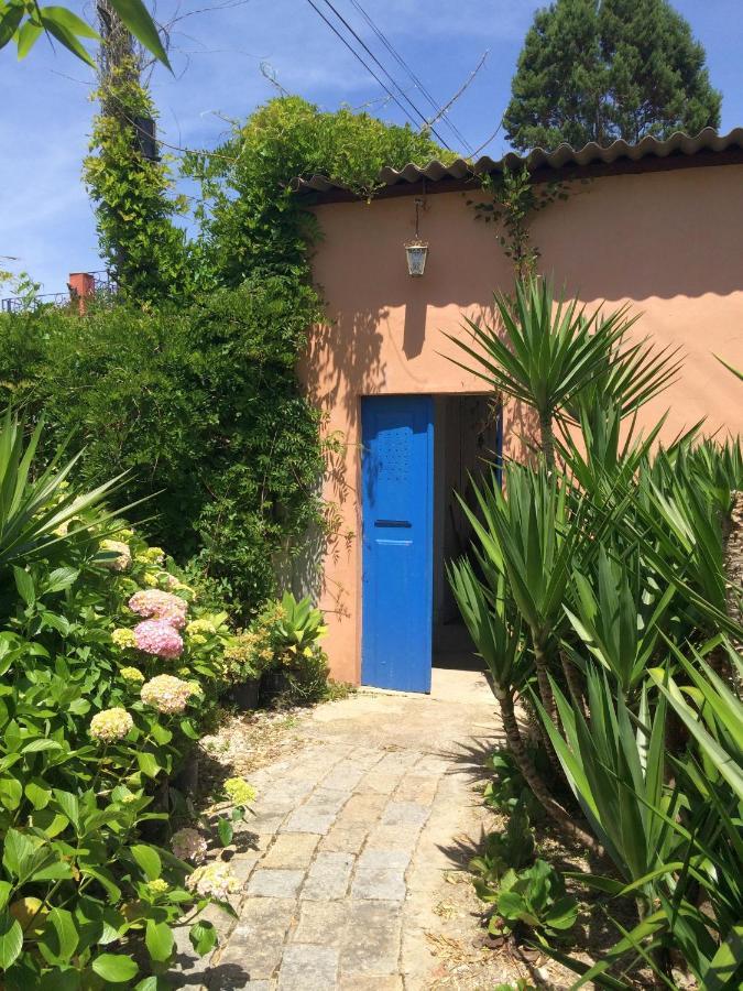 アヴェイロ Casa 3 Aguias Bed & Breakfast エクステリア 写真
