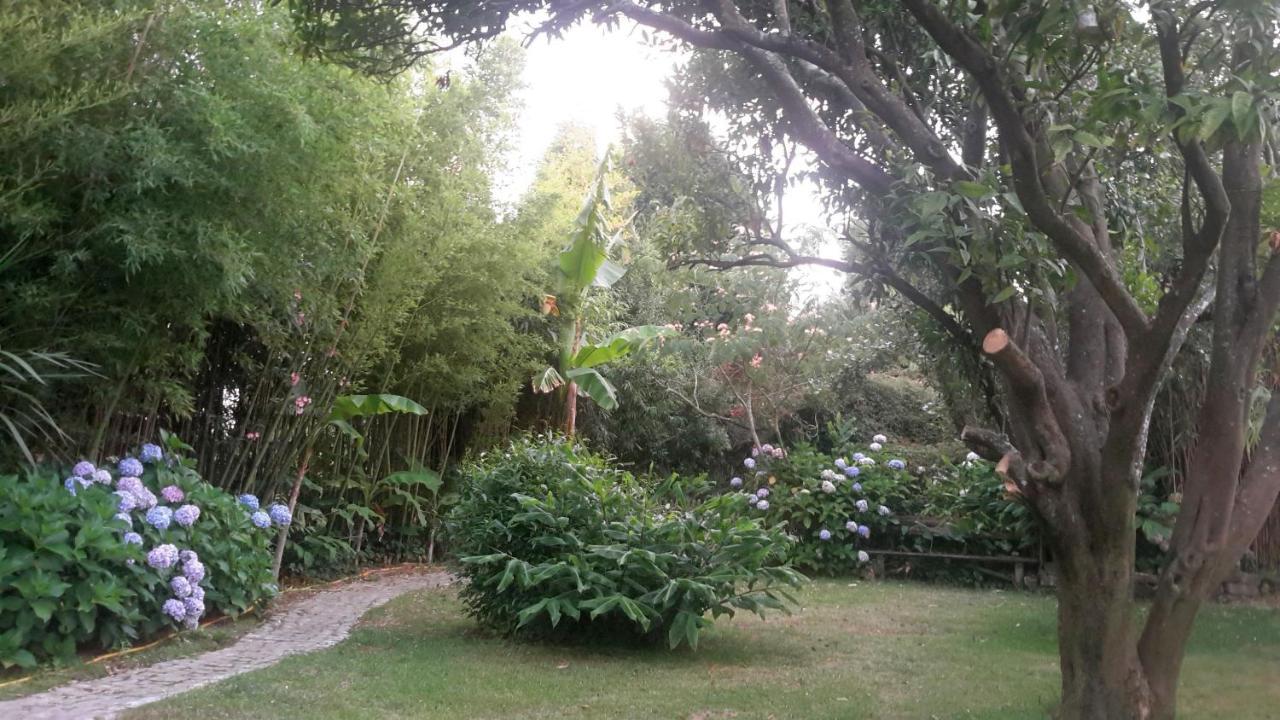 アヴェイロ Casa 3 Aguias Bed & Breakfast エクステリア 写真